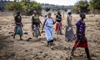 Kenya. How to collect firewood in a way that does not destroy the forest and respects the trees. © FAO/Luis Tato